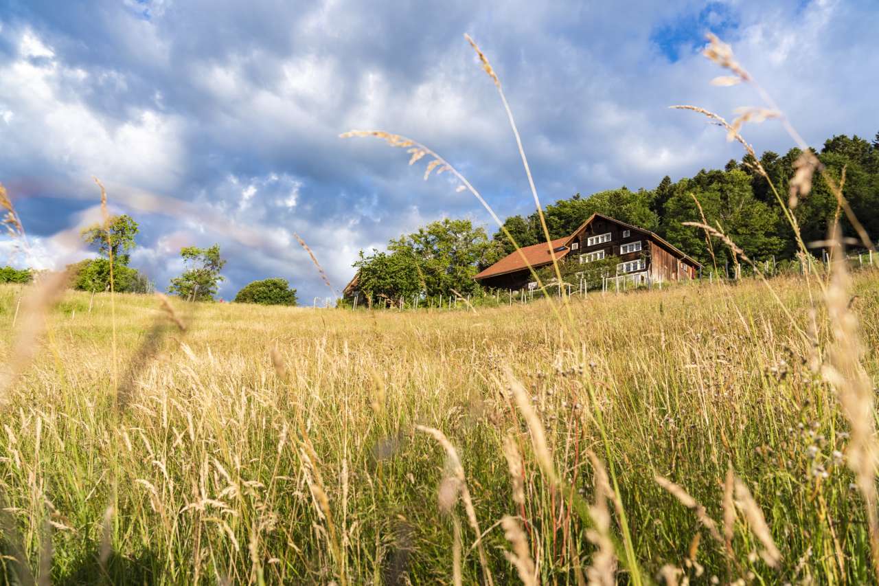 Zu Besuch auf dem Hof Morgarot
