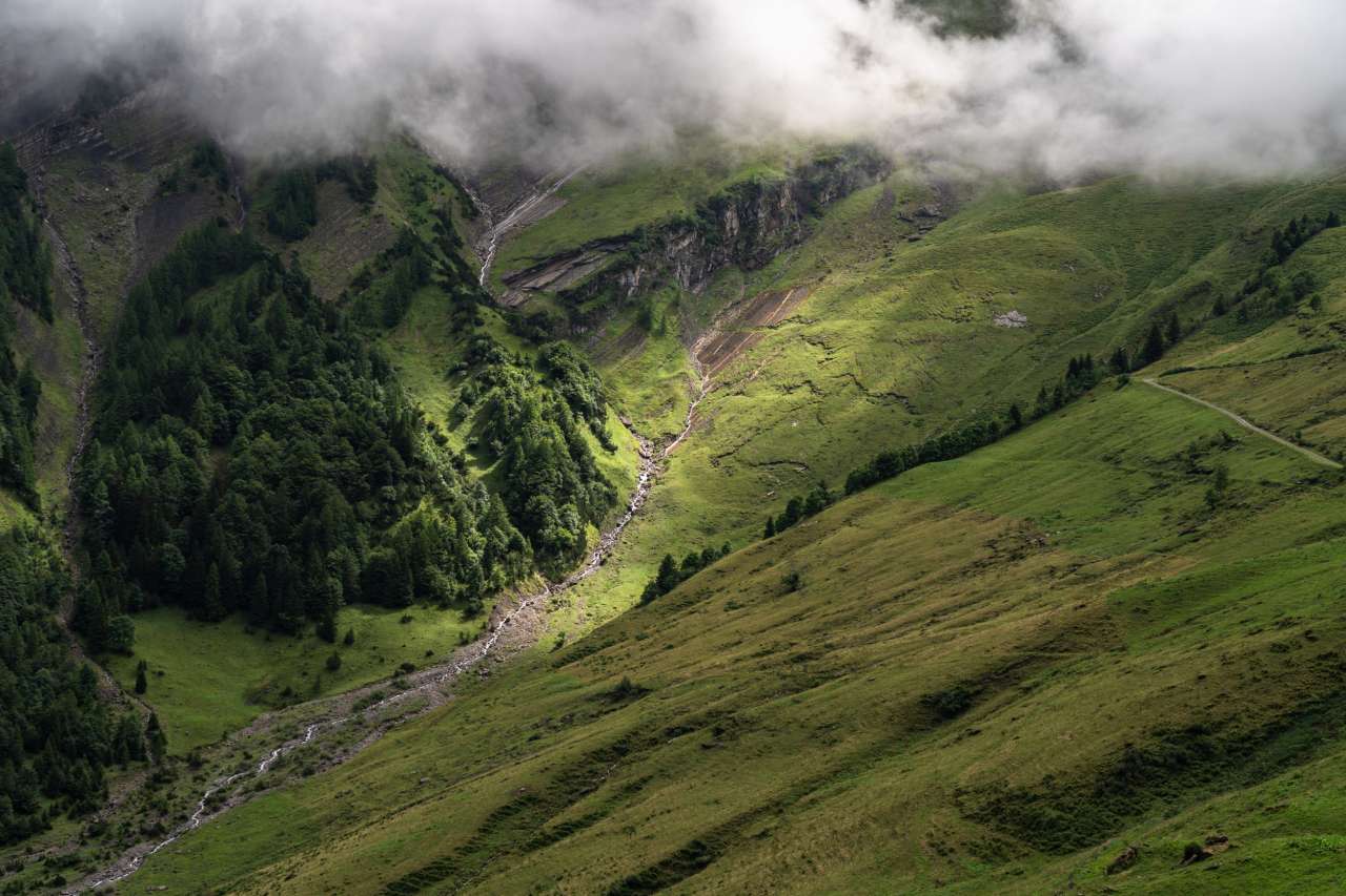 From the mountain spring to your glass